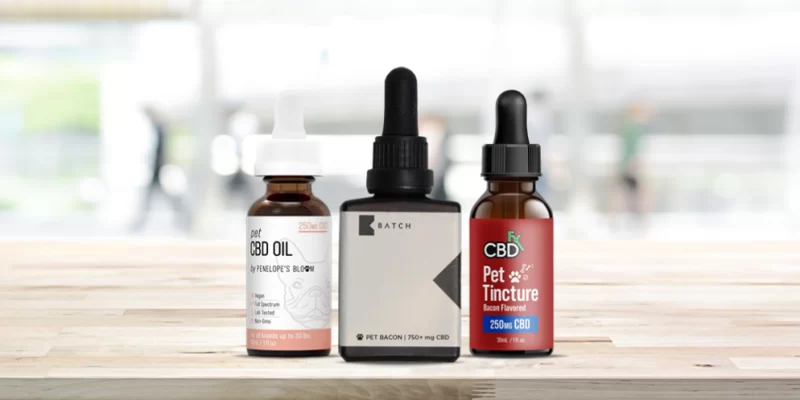 Best CBD Oil for Dogs in 2023: The Top Brands for Managing Anxiety, Pain and More