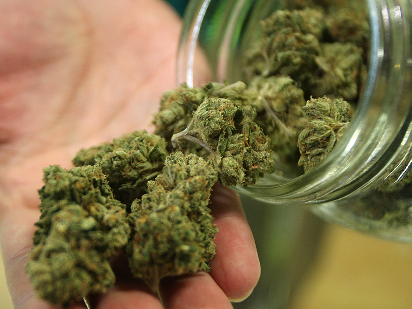Top 10 Medical Cannabis Dispensaries in California