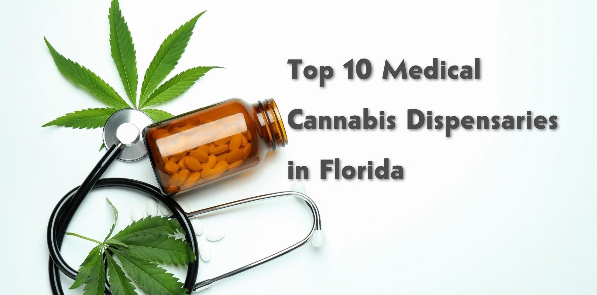 Top 10 Medical Cannabis Dispensaries in Florida